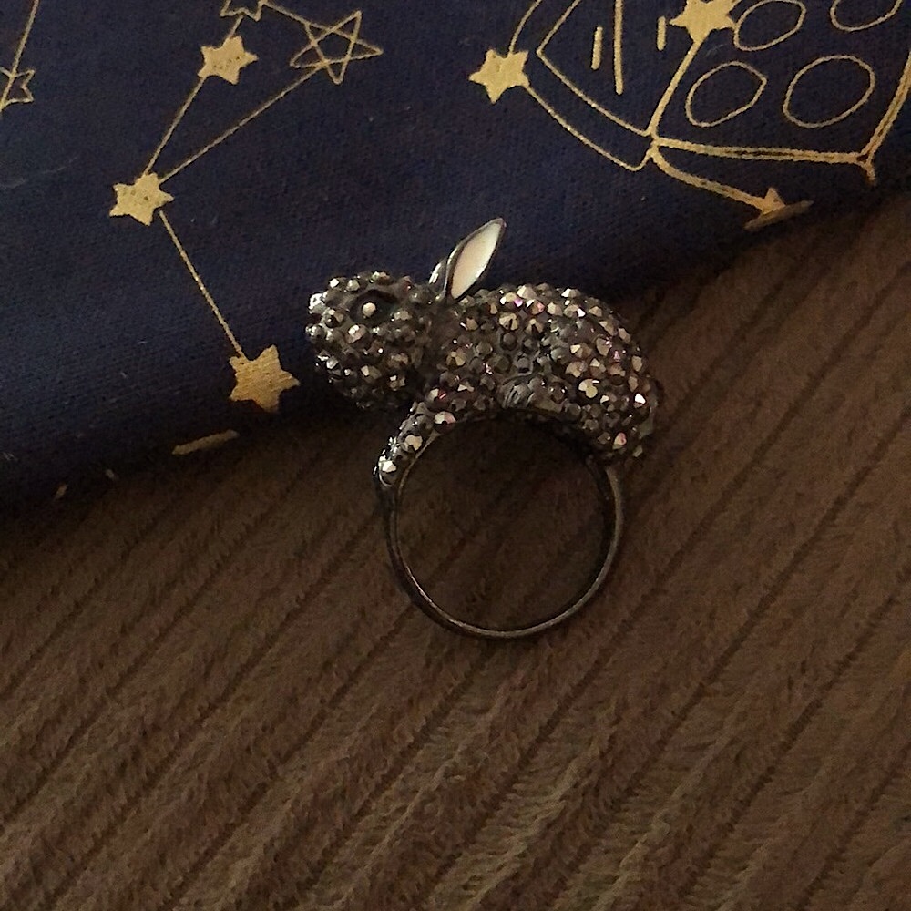 🐇Rabbit Ring🐇